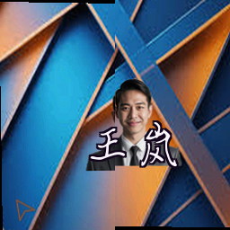 王岚